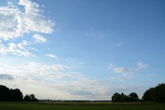 DSC_6345