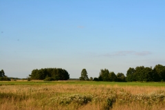 DSC_6360