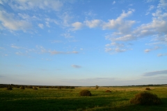 DSC_6395